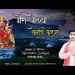 मेरी मैया सुनती पुकार माता भजन लिरिक्स