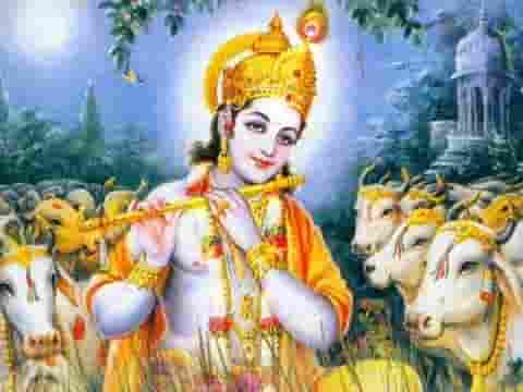 आओ कन्हैया आओ आओ मेरे मूरारी लिरिक्स आओ कन्हैया आओ आओ मेरे मूरारी लिरिक्स