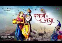 श्याम की दीवानी है राधा जितनी भजन लिरिक्स