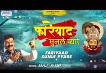 फरियाद सुन ले प्यारे आए है तेरे द्वारे भजन लिरिक्स फरियाद सुन ले प्यारे आए है तेरे द्वारे भजन लिरिक्स