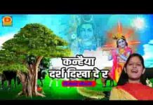 कन्हैया दरश दिखा दे रे तेरी गैया तुझे पुकारे भजन लिरिक्स