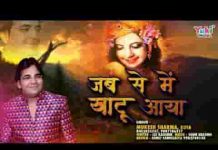 जब से मैं खाटू आया तेरा प्यार मैंने पाया भजन लिरिक्स जब से मैं खाटू आया तेरा प्यार मैंने पाया भजन लिरिक्स