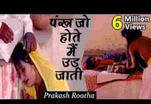 पंख जो होते मैं उड़ जाती नन्द बाबा के द्वार भजन लिरिक्स