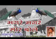 मगरे मगरे मोर बोले धोरां मे बोले ढेल जानो मेला में