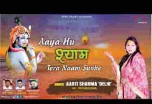 सुनले सांवरिया सरकार दे दे तू चरणों का प्यार भजन लिरिक्स सुनले सांवरिया सरकार दे दे तू चरणों का प्यार भजन लिरिक्स