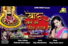 तुमसे मिलने को दिल करता है श्याम भजन लिरिक्स तुमसे मिलने को दिल करता है श्याम भजन लिरिक्स