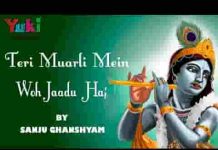 तेरी मुरली में वो जादू है बिन डोर खिंचा आता हूँ भजन लिरिक्स तेरी मुरली में वो जादू है बिन डोर खिंचा आता हूँ भजन लिरिक्स