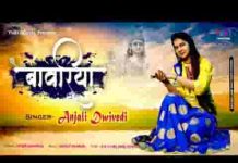 थामो हाथ आके मेरे सांवरिया भजन लिरिक्स थामो हाथ आके मेरे सांवरिया भजन लिरिक्स