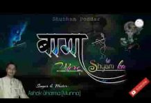 बागो पेरे घूमरदार म्हारो सांवरियो सरकार भजन लिरिक्स बागो पेरे घूमरदार म्हारो सांवरियो सरकार भजन लिरिक्स