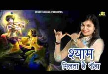 मैंने पूछा सभी से श्याम मिलता कहाँ भजन लिरिक्स