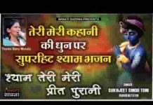 श्याम तेरी मेरी तेरी मेरी है ये प्रीत पुरानी भजन लिरिक्स श्याम तेरी मेरी तेरी मेरी है ये प्रीत पुरानी भजन लिरिक्स