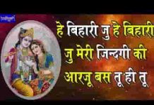 हे बिहारी जु हे बिहारी जु मेरी जिन्दगी की आरजू बस तू ही तू