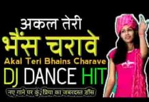 अरर तेरे समझ क्यूँ नावे अकल तेरी भैंस चरावै