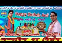 नागौरी तो प्यारो घणों लागे जी