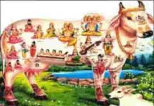 अंग अंग में गौ माता के सब देवों का धाम है लिरिक्स