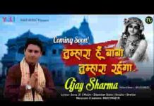 चाहे अपना लो चाहे तुम भुलाओ भजन लिरिक्स