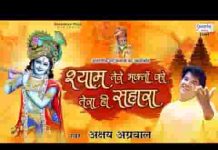 श्याम तेरे भक्तों को तेरा ही सहारा है भजन लिरिक्स