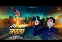 श्याम मैं तेरा लाड़ला भजन लिरिक्स