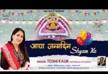 सज के बैठा श्याम हमारा लग रहा है प्यारा प्यारा लिरिक्स सज के बैठा श्याम हमारा लग रहा है प्यारा प्यारा लिरिक्स