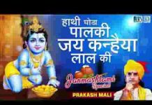 हाथी घोड़ा पालकी जय कन्हैया लाल की भजन लिरिक्स