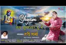 अपनी करनी पे खुद सांवरे लाचार हूँ मैं भजन लिरिक्स