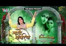 थारे शीश पे मुकुट विराजे जा में मोर पंख है साजे लिरिक्स