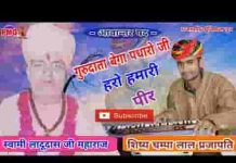 सतगुरु जी बेगा आवो जी हरो हमारी पीर भजन लिरिक्स