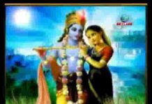 अपने श्याम कन्हैया को देखूँ बिना पलक झपकाये भजन लिरिक्स अपने श्याम कन्हैया को देखूँ बिना पलक झपकाये भजन लिरिक्स