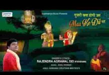 गुजरी क्या होगी उस माँ के दिल पर श्याम भजन लिरिक्स