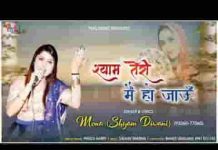 तू पकड़ ले मेरा हाथ तेरी मैं जाऊं भजन लिरिक्स