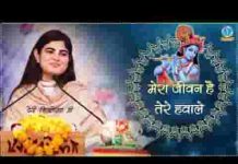 मेरा जीवन है तेरे हवाले श्याम सुन्दर मुरलिया वाले लिरिक्स मेरा जीवन है तेरे हवाले श्याम सुन्दर मुरलिया वाले लिरिक्स