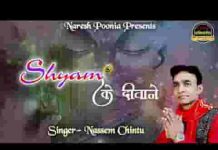 श्याम के दीवाने प्यार करते है श्याम से भजन लिरिक्स
