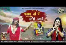 श्याम तो पे वारी वारी जाऊं जी मैं भजन लिरिक्स