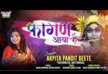 मन में बाजी शहनाई कि फागण आया है भजन लिरिक्स मन में बाजी शहनाई कि फागण आया है भजन लिरिक्स