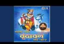 चलो मन वृन्दावन की ओर भजन लिरिक्स