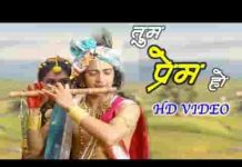 तुम प्रेम हो तुम प्रीत हो मेरी बांसुरी का गीत हो भजन लिरिक्स