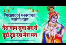 तेरा नाम सुना जबसे तुझे ढूंढ रहा मेरा मन भजन लिरिक्स तेरा नाम सुना जबसे तुझे ढूंढ रहा मेरा मन भजन लिरिक्स