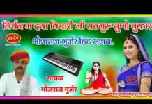 निर्बल पे दया विचारो जी मारा सतगुरु सुनो पुकार