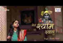 मेरा श्याम दयालु है हारे का सहारा है भजन लिरिक्स मेरा श्याम दयालु है हारे का सहारा है भजन लिरिक्स
