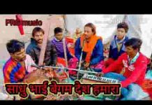 साधु भाई बेगम देश हमारा भजन लिरिक्स