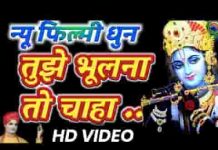 जब से लिया सहारा तेरा ओ मुरली वाले भजन लिरिक्स