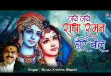 जय जय राधा रमण हरी बोल भजन लिरिक्स