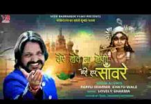तेरे होते ना होगी मेरी हार सांवरे भजन लिरिक्स तेरे होते ना होगी मेरी हार सांवरे भजन लिरिक्स