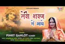 दुनिया की खा के ठोकरे तेरी शरण में आई भजन लिरिक्स दुनिया की खा के ठोकरे तेरी शरण में आई भजन लिरिक्स