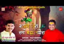 श्याम तेरा रूप बड़ा प्यारा मैं तो दिल हारा भजन लिरिक्स श्याम तेरा रूप बड़ा प्यारा मैं तो दिल हारा भजन लिरिक्स
