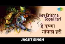 हे कृष्ण गोपाल हरि हे दीन दयाल हरि भजन लिरिक्स हे कृष्ण गोपाल हरि हे दीन दयाल हरि भजन लिरिक्स