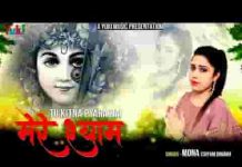 तू कितना अच्छा है तू कितना प्यारा है श्याम भजन लिरिक्स