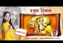 मेरा दिल है श्याम दीवाना दुनिया मारे ताना भजन लिरिक्स