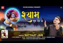 श्याम तुम मेरे हो खाटू श्याम भजन लिरिक्स