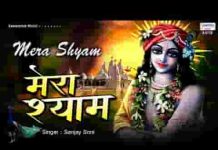 मेरा श्याम तू अकेला लाखों तेरे दीवाने भजन लिरिक्स
